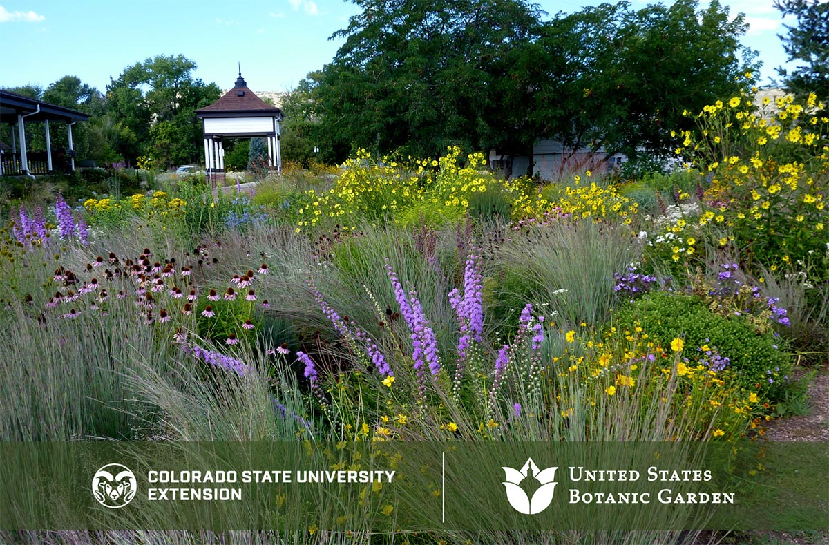 Online Sustainable Landscaping Classes