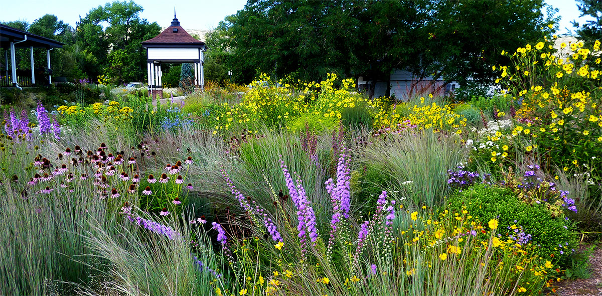 Online Sustainable Landscaping Classes