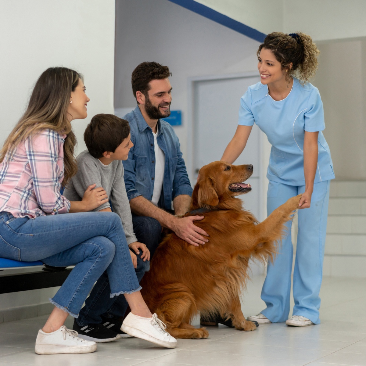 Online Spanish for Veterinary Professionals Certificate