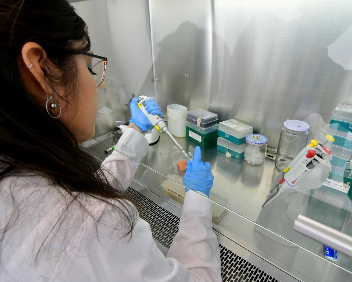 Online Professional Science Master’s in Toxicology